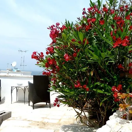 Bed & Breakfast Il Palazzotto 3*
